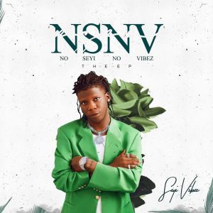 Seyi Vibez – Over Sabi Mp3
